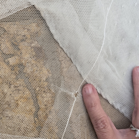 Melissa Sweet Wedding Dress Size 8 - Picture 13 of 14